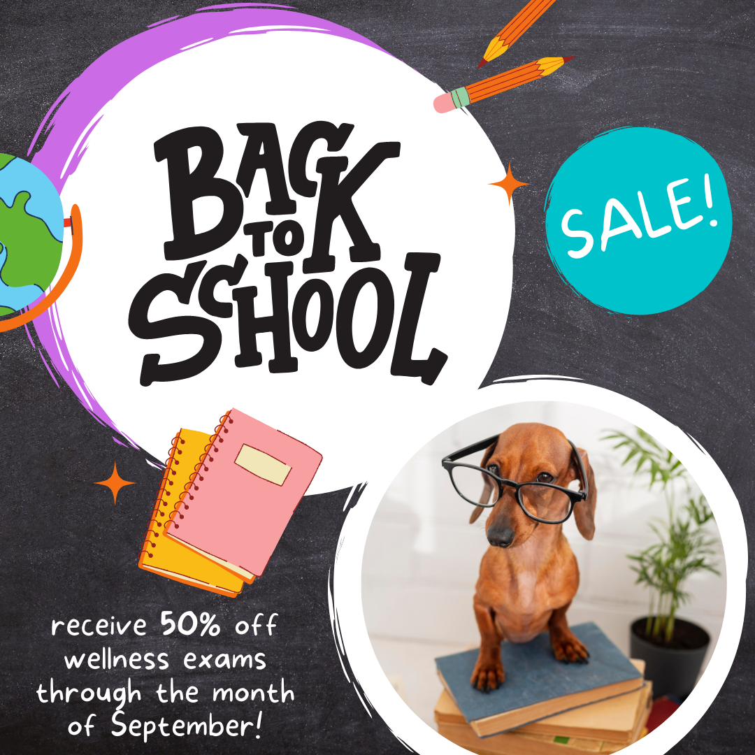 BacktoSchool