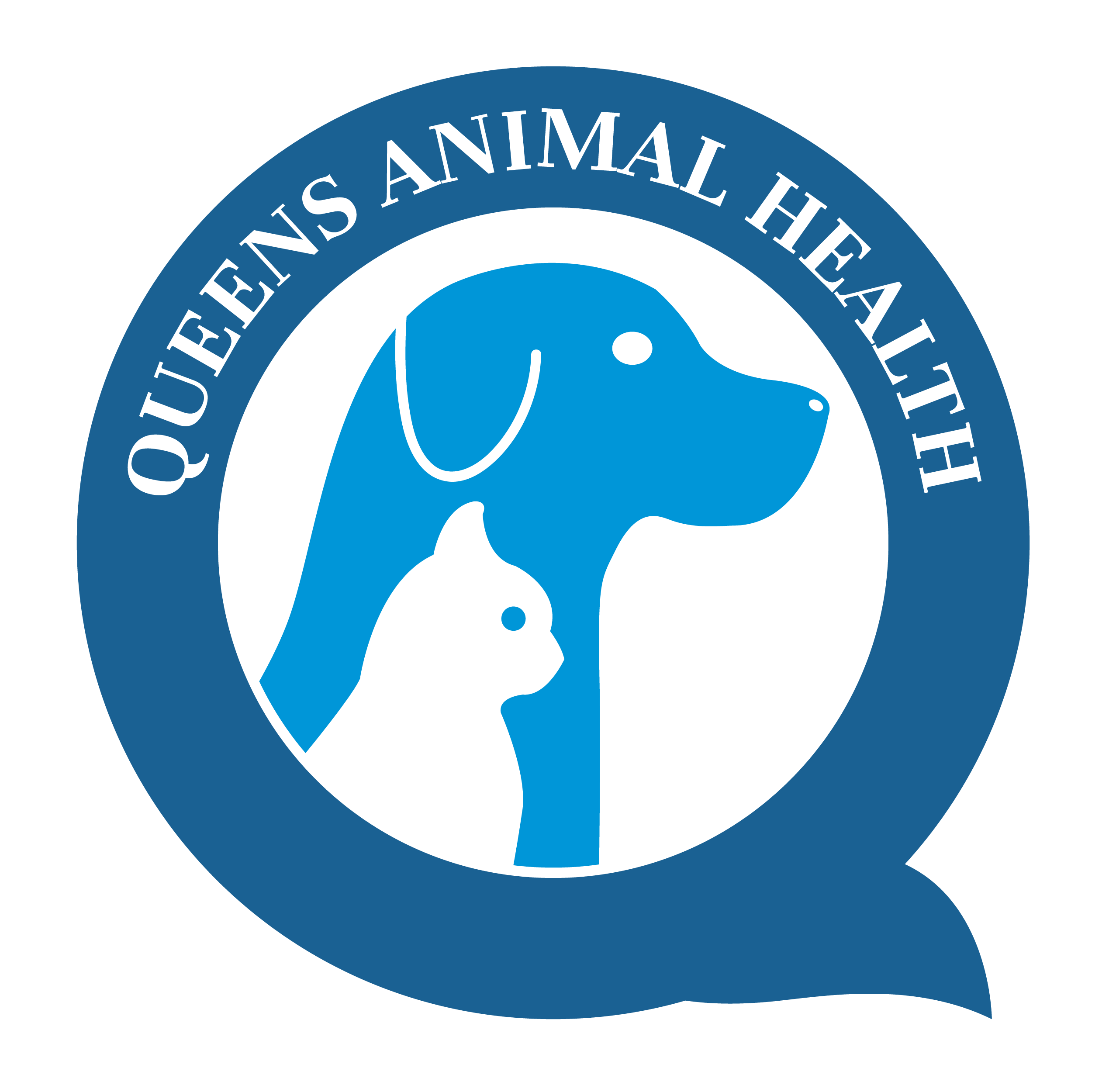 Best Vet In Fresh Meadows, NY 11365 | Queens Animal Health